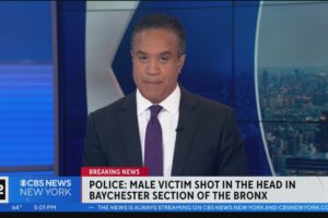 NYPD: Man shot in head in the Bronx