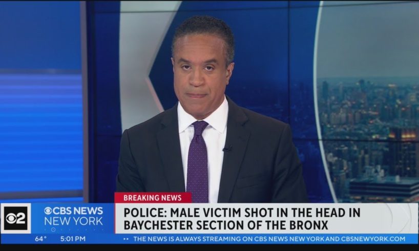 NYPD: Man shot in head in the Bronx