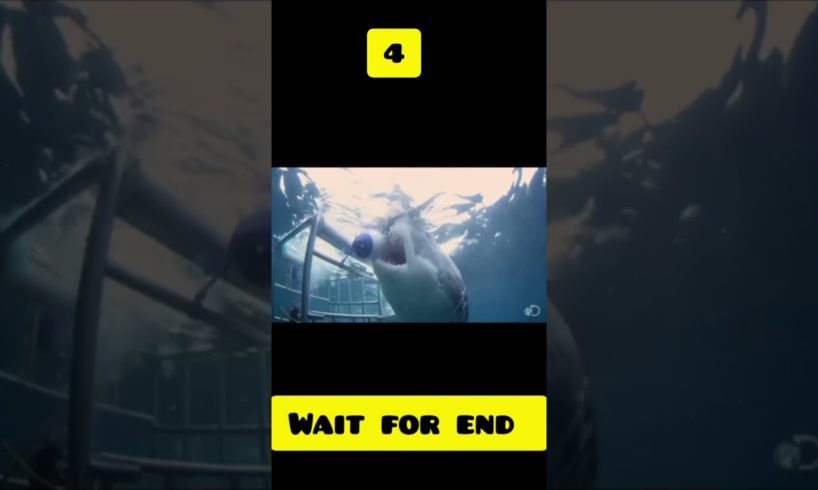 Near death captured 😱😱# shorts