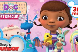 Pet Rescue | 30 Minute Compilation | Doc McStuffins | @disneyjunior