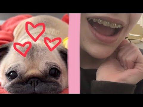 Reacting to the cutest puppies on the internet💕