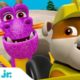 Rubble Rescues a Dragon & Animals! w/ PAW Patrol Pups | 60 Minute Compilation | Rubble & Crew