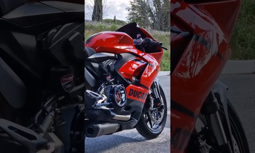 That beautiful♥️| DUCATI PANIGALE V2 (feat.luckyz) #shorts