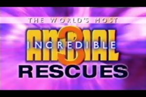 The Worlds Most Incredible Animal Rescues - 3