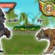 WildCraft: Animals fights #6 🦍 gorilla vs tiger 🐅