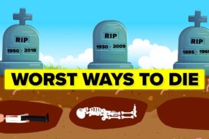 Worst Ways to Die (Compilation)