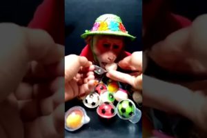 baby monkey suffering until death,baby monkey beat up,baby monkey throwing,baby monkey growing ASMR