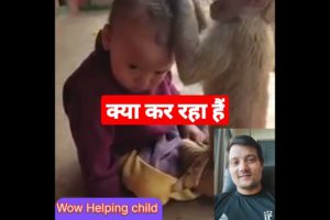 monkey playing with children Ldbs lover #shortsviral #animals #youtubeshorts