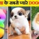 दुनिया के सबसे क्यूट कुत्ते | Cutest Dogs in the World | World’s Cutest Dog Breeds