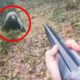 12 Scariest Bear Encounters Ever Filmed in Russia