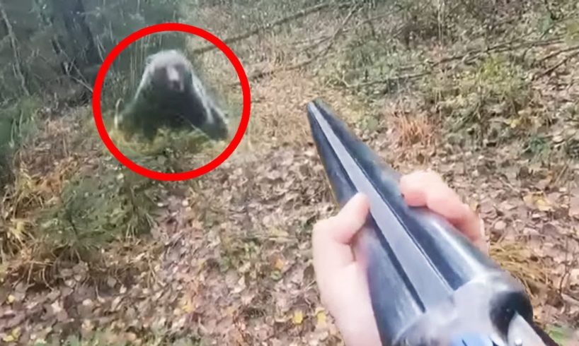 12 Scariest Bear Encounters Ever Filmed in Russia