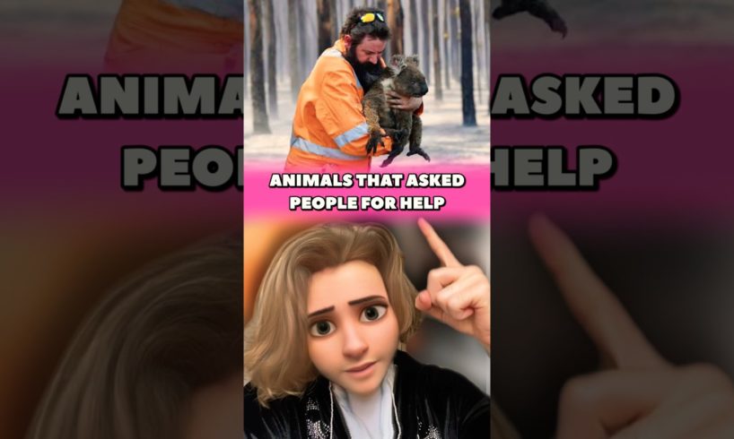 ANIMALS THAT ASKED PEOPLE FOR HELP 🥹 #rescue