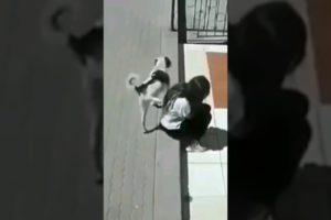 Fails of the week 😂🤣#shorts #funnyvideo #trending #tiktok