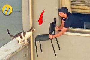 40 Animal Rescue Videos Touching Moments When Animals Asked People for Help #3