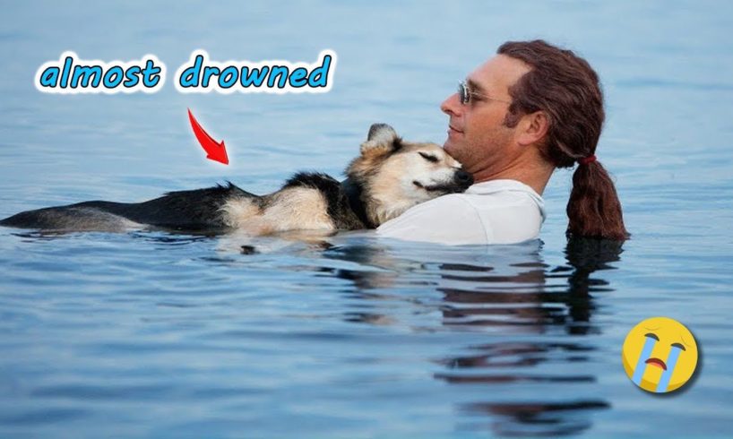 30 Animal Rescue Videos Touching Moments When Animals Asked People for Help # 2