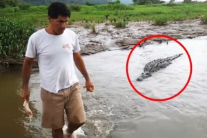 30 Scariest Crocodile Encounters of the Year