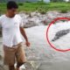 30 Scariest Crocodile Encounters of the Year