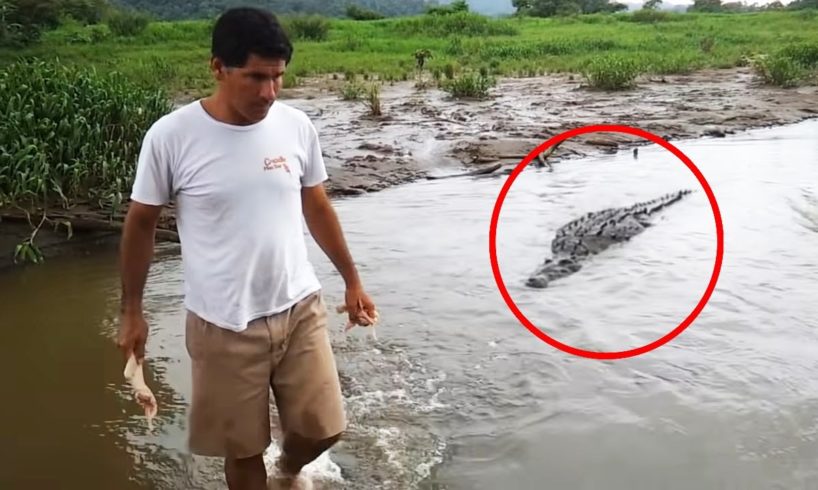 30 Scariest Crocodile Encounters of the Year