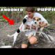 ABANDONED PUPPIES FOUND DUMPED ON MY FARM ! WHO DID THIS ?!