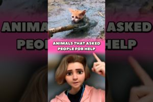 ANIMALS THAT ASKED PEOPLE FOR HELP 🥹 #rescue