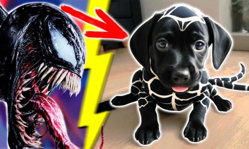 Avengers but they are Cute Puppies (Hulk, Thor, Venom, Daredevil, others)