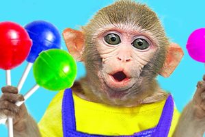 Baby Monkey KiKi gets trouble with Fruit Lollipop Candy and swims with ducklings | KUDO ANIMAL KIKI