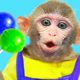 Baby Monkey KiKi gets trouble with Fruit Lollipop Candy and swims with ducklings | KUDO ANIMAL KIKI