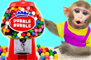 Baby Monkey KiKi playing Rainbow Gumballs Dubble Bubble Candy Dispenser | KUDO ANIMAL KIKI