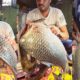 Big Katla & Hilsa Fish Cutting | Indian Fish Market