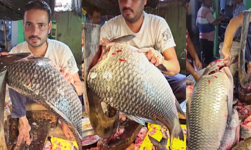 Big Katla & Hilsa Fish Cutting | Indian Fish Market
