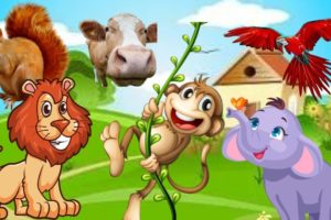 CUTE LITTLE ANIMALS - Monkey, Sheep, Cat, Dog, Giraffe - ANIMAL VIDEOS