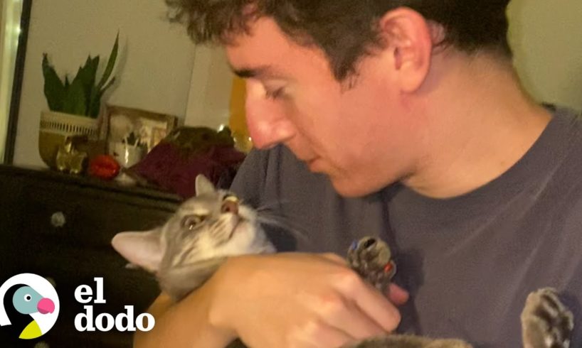 Chico se gana el amor de un gato tratándolo como si fuera perro | El Dodo