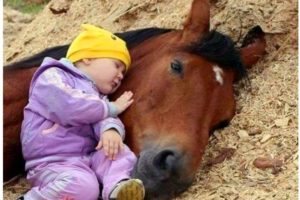 Cute Baby and Horse 🦄🦄🦄 Funny Baby and Animals Compilation