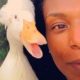 Duck Becomes Woman’s Bridesmaid After Being Saved From Farm | Cuddle Buddies