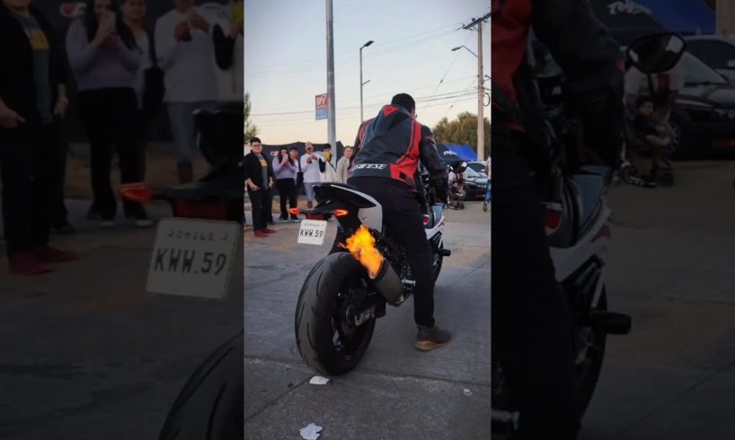 FLAMETHROWER RR‼️🏍️🔥| #BMW #S1000RR (feat.arevalo) #shorts