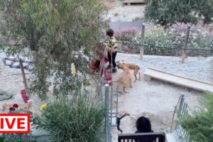 From 18:00 to 09:00 they are having party 🎉 🥳🥳 - Takis Shelter
