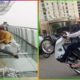 Funny Fails? Fails of the Week 😂 Funny Videos #488