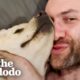 Guy Rescues Lab Puppy In The Middle Of The Night | The Dodo