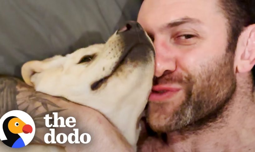 Guy Rescues Lab Puppy In The Middle Of The Night | The Dodo