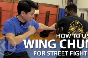 How to Use Wing Chun for Street Fights | Will It Work?