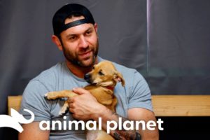 Lee Asher Fosters a New Puppy! | My Pack Life | Animal Planet