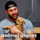 Lee Asher Fosters a New Puppy! | My Pack Life | Animal Planet