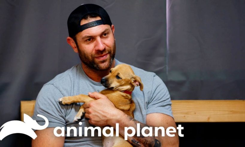 Lee Asher Fosters a New Puppy! | My Pack Life | Animal Planet