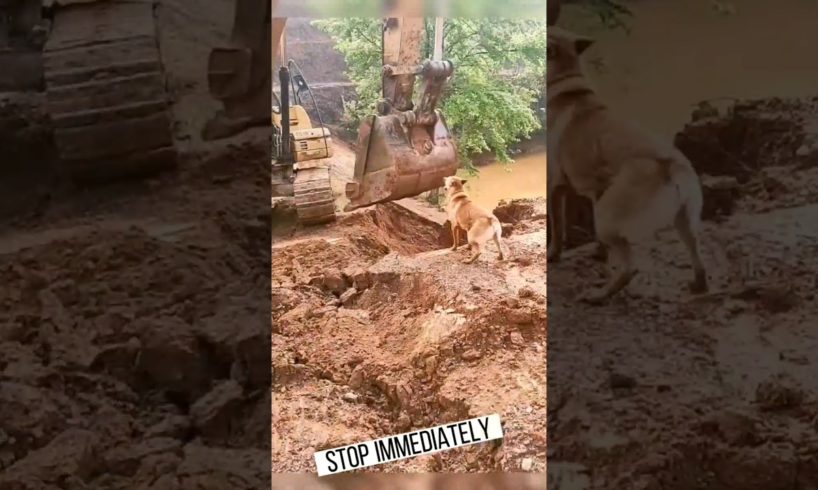 😭❤🙏👍 Love Is Gone❤🙏 | New Shorts Video SLANDER 31 #shorts #humanity #viral #emotional #sad #tiktok