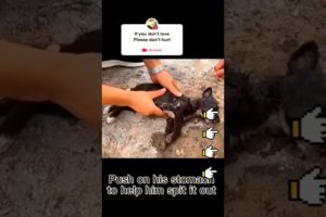 😭❤🙏👍 Love Is Gone❤🙏 | New Shorts Video SLANDER 67 #shorts #humanity #viral #emotional #sad #tiktok
