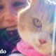 Mujer adopta al gato gruñón de sus abuelos | Dodo Héroes | El Dodo
