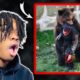 Nah Wtf This Compilation GOT It! | Near Death Moments Caught On GoPro | ItsTrell Reaction