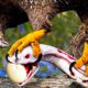 Omg !!! 30 Moments Hungry Bird Swallows Prey Within 3 Seconds | Animal Fight