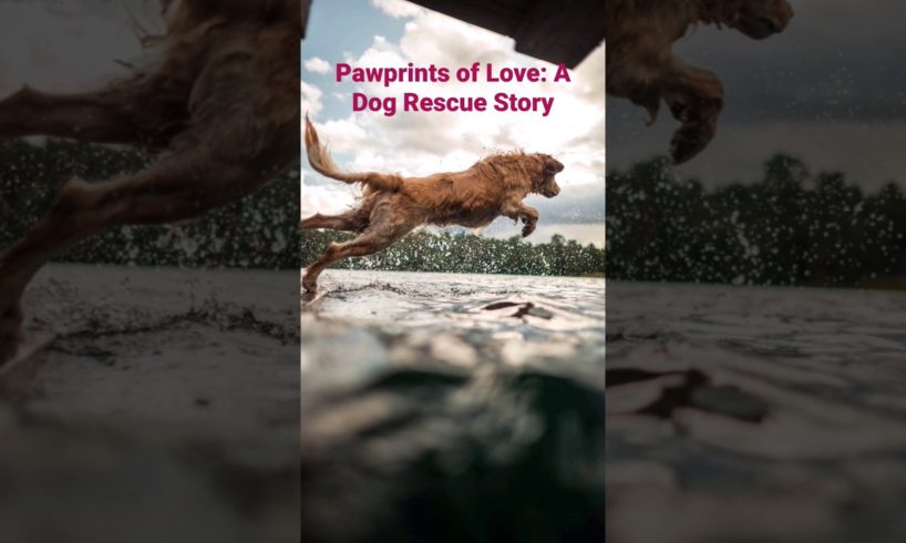 Pawprints of Love: A Dog Rescue Story #shorts