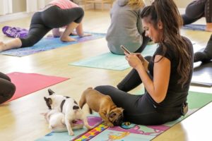Puppy Yoga in Toronto lets cute puppies roam freely during class